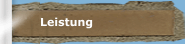 Leistung
